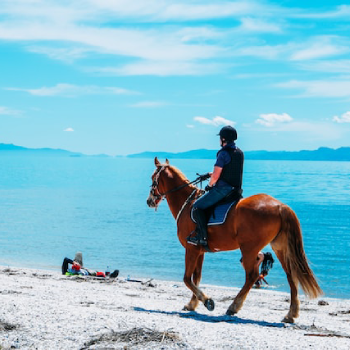 person riding a horse by the beach in a sunny day