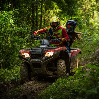 people driving and atv in the forest