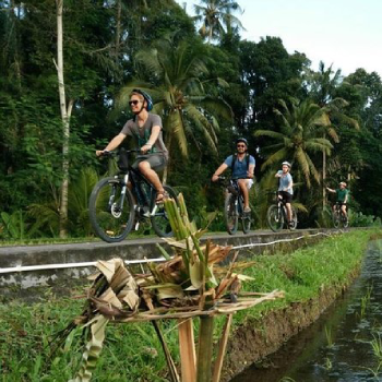 people cycling by the rice field in ubud bali