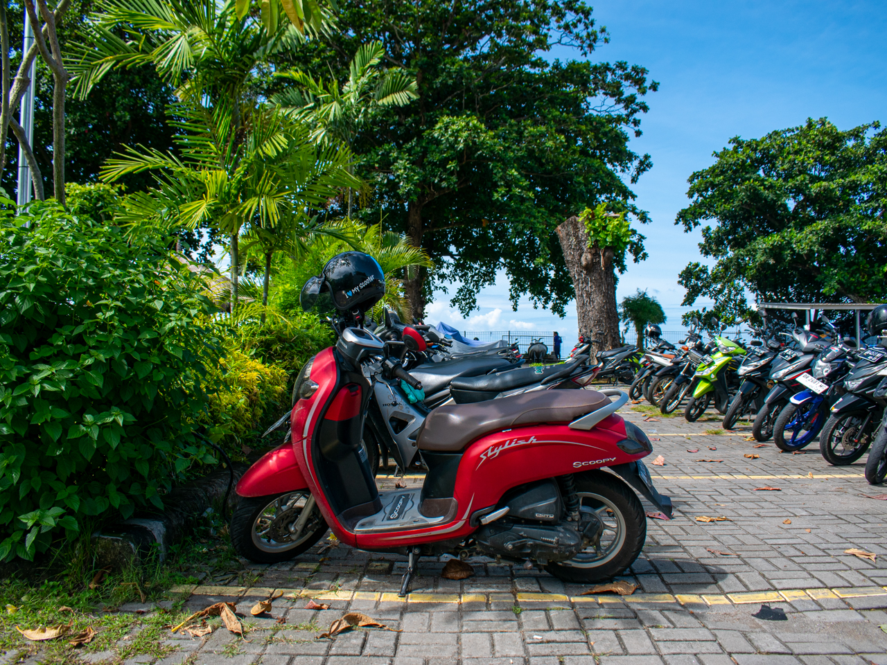 parked scooters in bali